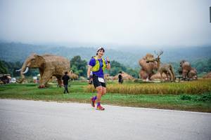 BIB: 
                            <button type="button" onclick="openModal(22405717)" class="btn btn-primary btn-sm float-right btn-popup" data-toggle="modal" data-target=".modal-high-quality">
                        <i class="fas fa-shopping-cart"></i> Add to Cart
                    </button>
                                            <button type="button" onclick="isThisMe(22405717, true)" class="btn btn-success btn-sm float-right btn-popup btn-isme hidden" data-toggle="tooltip" data-placement="bottom" title="นี่คือรูปของคุณใช่ไหม คลิกที่นี่เพื่อเอาเข้าอัลบั้ม">
                        <i class="fas fa-plus"></i> Add to album
                    </button>
                    <button type="button" onclick="isThisMe(22405717, false)" class="btn btn-warning btn-sm float-right btn-popup btn-isnotme hidden">
                        <i class="fas fa-ban"></i> Remove from album
                    </button>